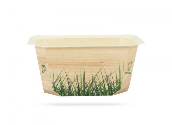 BARQUETTE SCELLABLE EN CARTON BRUN 750 GRS 192X137X41 MM (-20° A 120°C) (65 U)