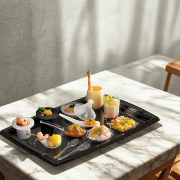 PLAT DE PRESENTATION NOIR REUTILISABLE 45X30.5X1 CM -5°/+80°C (5 U)