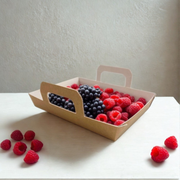 BARQUETTE REPAS CHAUD CARTON BRUN 750G ET COUVERCLE TRANSP. 18X12.5X3CM (150U)