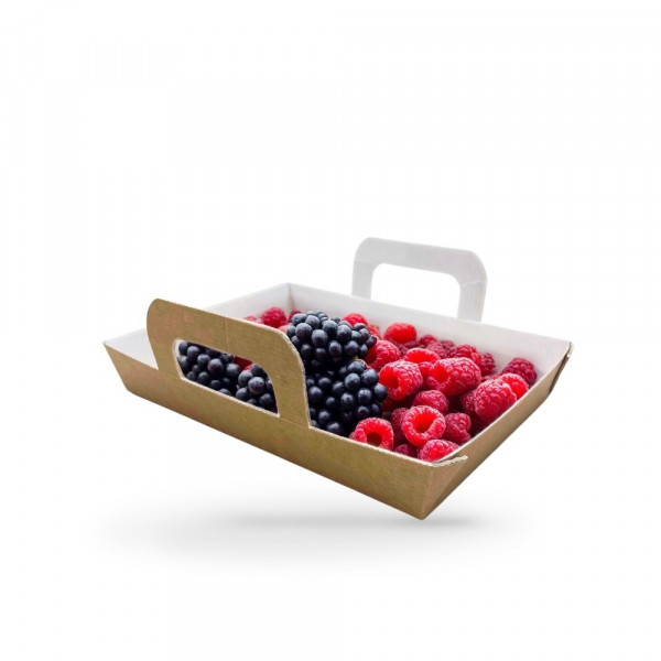 BARQUETTE REPAS CHAUD CARTON BRUN 750G ET COUVERCLE TRANSP. 18X12.5X3CM (150U)