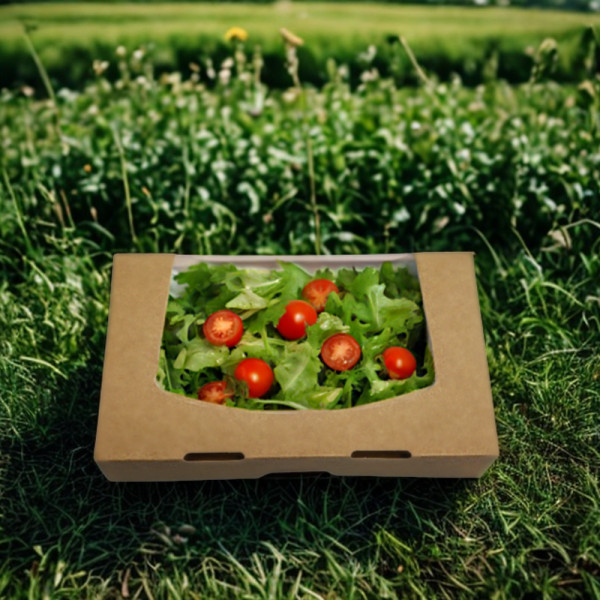 BOITE SNACKING CARTON BRUN AVEC FENETRE 20X12X4 CM (50 U)