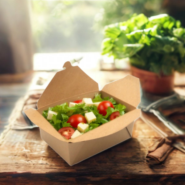 BOITE REPAS GAMME KRAFT BRUN 19.8X14X9 CM 2400 ML (160 U)