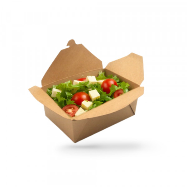 BOITE REPAS GAMME KRAFT BRUN 19.8X14X9 CM 2400 ML (160 U)