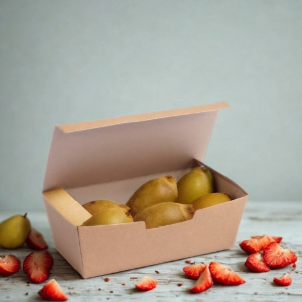 BOITE SNACKING GAMME KRAFT BRUN 16.5X7.5X6 CM (180 U)