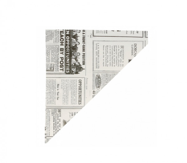 CORNET 100 G - MODELE « TIMES » BLANC PARCHEMIN INGRAISSABLE 24X17 CM (250 U)