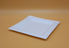 ASSIETTE CARREE PLATE BLANCHE GAMME BIO CANNE À SUCRE - 200 MM (50 U)