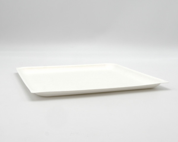 ASSIETTE CARREE TAPAS PLATE BLANCHE GAMME BIO CANNE À SUCRE - 240 MM (50 U)