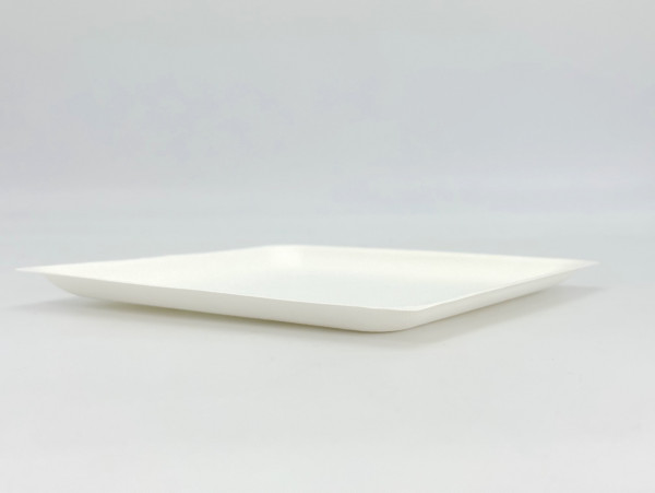 ASSIETTE CARREE TAPAS PLATE BLANCHE GAMME BIO CANNE À SUCRE - 200 MM (50 U)