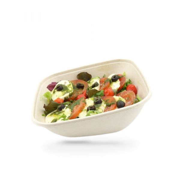 BOL SALADE CARRE BISEAUTE GAMME BIO 19X19X7CM 750 ML AVEC COUVERCLE (50 U)