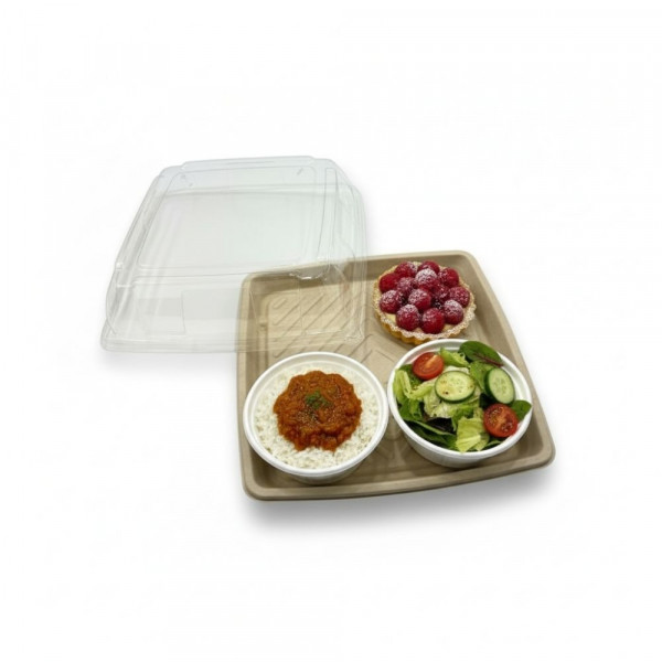 PLATEAU REPAS CARRE GAMME BIO PULPE VEGETALE 30X30X3 CM (COUV=C4G543) (25 U)