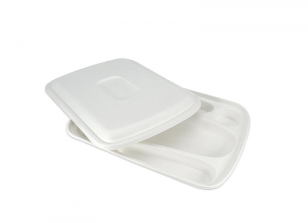 PLATEAU REPAS BLANC 6 COMPARTIMENTS GAMME BIO 39.3X28.2X4CM (COUV=C4G539C) (15U)