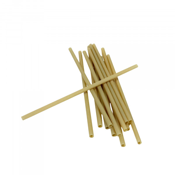 PAILLE FIBRE VEGETAL 20X6 CM (100 U)