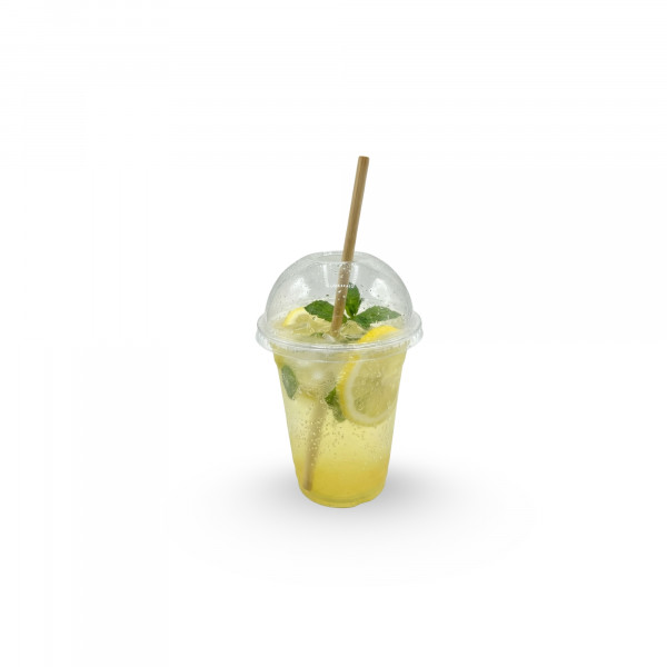 PAILLE GAMME ECOLOGIQUE EN BAMBOU 20X0.63 CM (25 U)