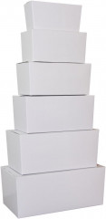 BALLOTIN BLANC 750 GRS l.8XL.15.5XH.7.5 CM (25 U)