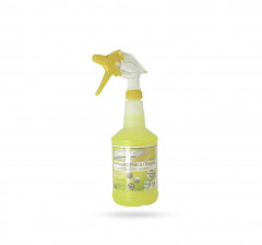 NETTOYANT DEPOUSSIERANT SPECIAL AUTO LOMERAX PAE 750 ML INTERIEUR-EXTERIEUR (1U)