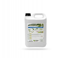 SAVON GEL MAINS HYPOALLERGENIQUE LOMERAX PH NEUTRE SANS SOLVANT 5L (1 U)