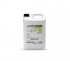 HYDROFUGE AUTO-PERLANT POUR MATERIAUX DE CONSTRUCTION LOMERAX 5L (1 U)