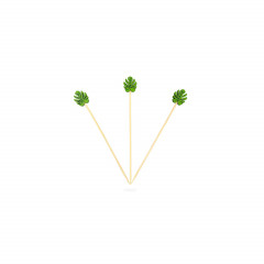 PIQUE BROCHETTE EN BAMBOU FEUILLE VERTE 12 CM (200 U)