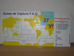 TABLEAU « ZONE DE CAPTURE F.A.O »  POISSONNERIE 30X60 CM (1 U)