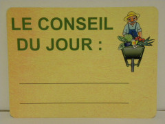 ETIQUETTE « CONSEIL DU JOUR » PRIMEUR 150X200 MM (1 U)