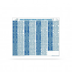 PANNEAU 'NOMS SCIENTIFIQUES POISSONS COQUILLAGES ET CRUSTACES' PVC 55X45 CM (1U)