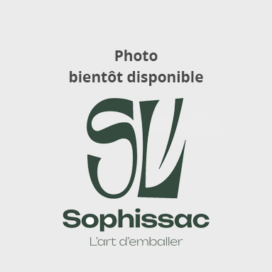 SAC FRUITS 3 KG KRAFT BRUN EXOTIC TRAITÉ WS BIO 40G 24+7.5+7.5X32 CM (500 U)